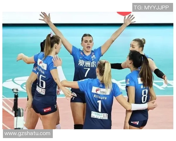 广州排球队实力之争引发热议球迷观点各异探讨未来发展方向